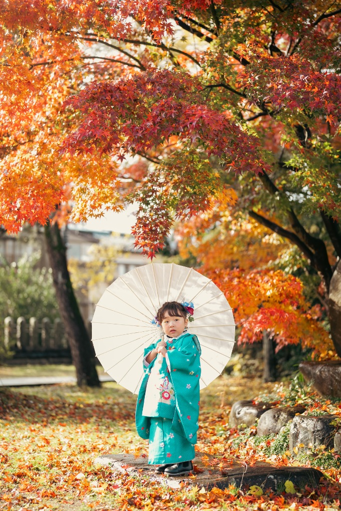 紅葉の中の七五三・着物の女の子