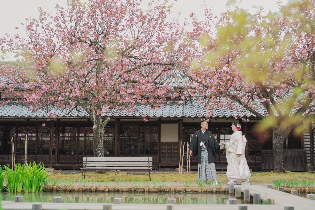 桜と池のある日本庭園を歩く着物カップル