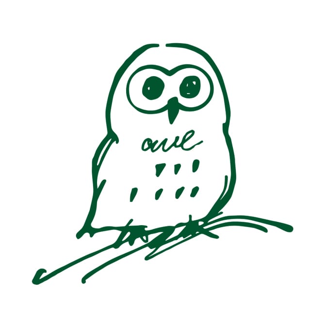 owl wedding design